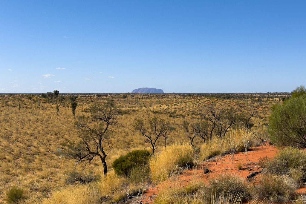 Der Uluru ist im flachen Outback ein sichtbares Zeichen