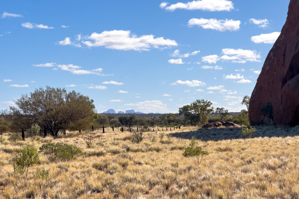 Beim Spaziergang am Uluru sehen wir in der Ferne die Olgas am Horizont