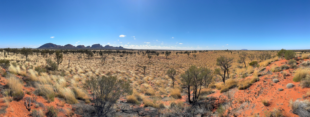 Panorama: Olgas links und Uluru rechts in der Ferne am Horizont