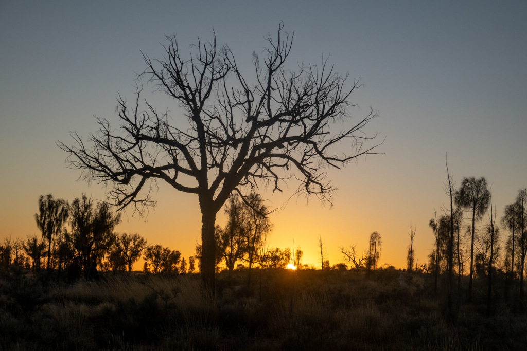 Sonnenaufgang am Uluru mit Blick auf die Sonne