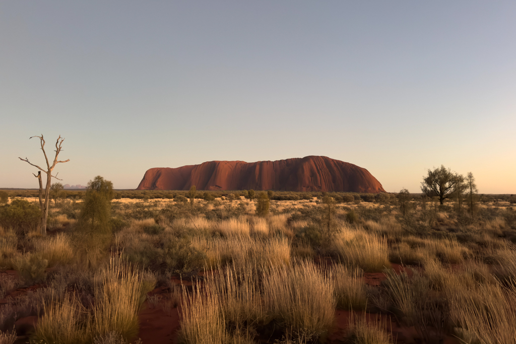 Kurz vor dem Sonnenaufgang am Uluru