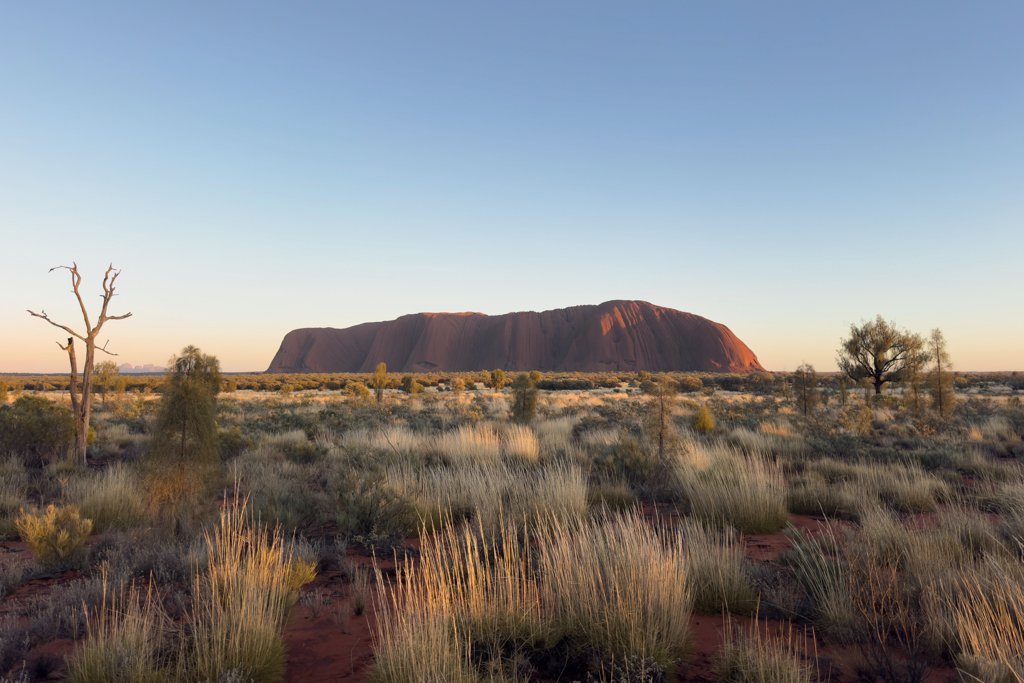 Sonnenaufgang am Uluru