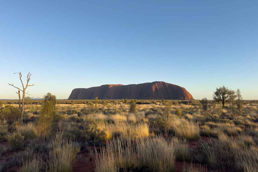 Sonnenaufgang am Uluru