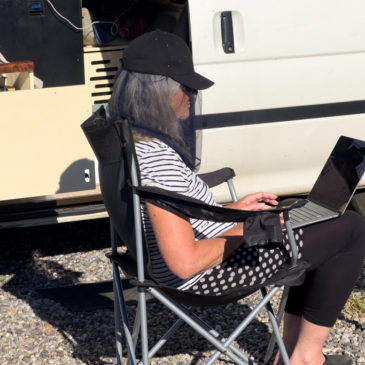 Fliegengeplagter Arbeitstag im Kings Canyon Campground