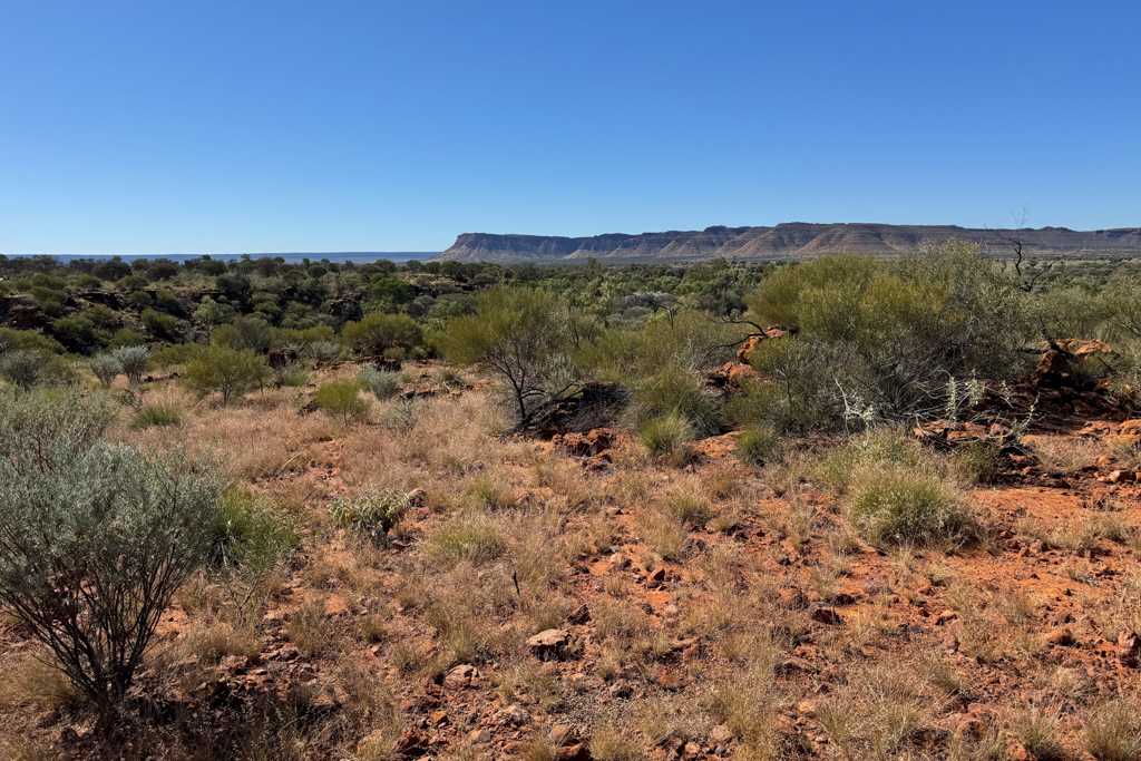 Vor uns das Outback um den Campground. Am Horizont ist der Kings Canyon zu sehen