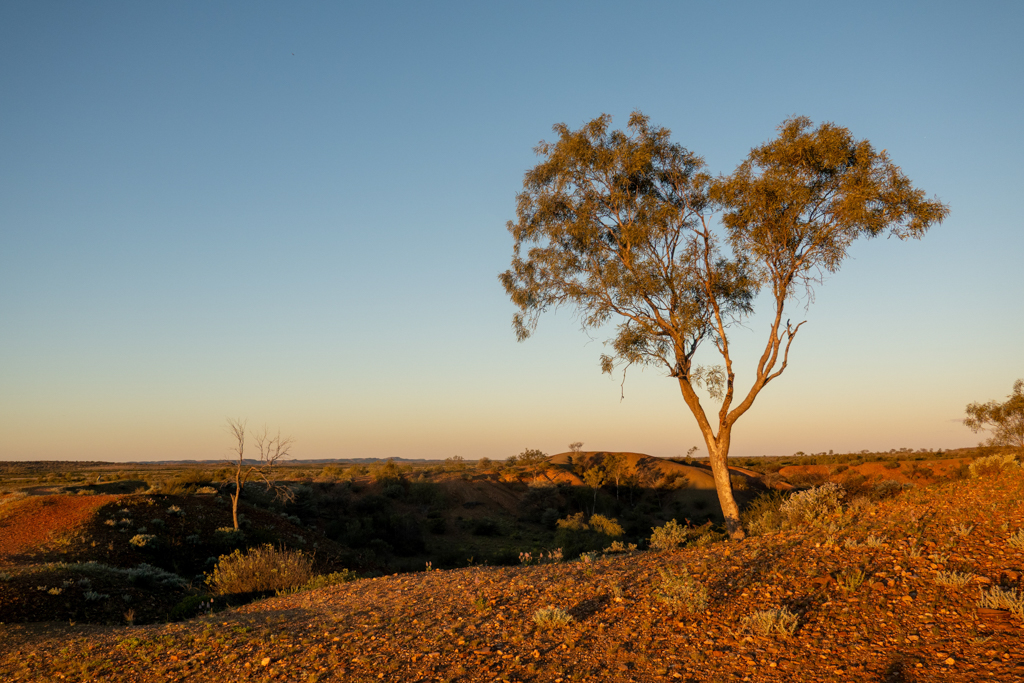 Abendstimmung über die weite Ebene bei den Henbury Meteorite Craters