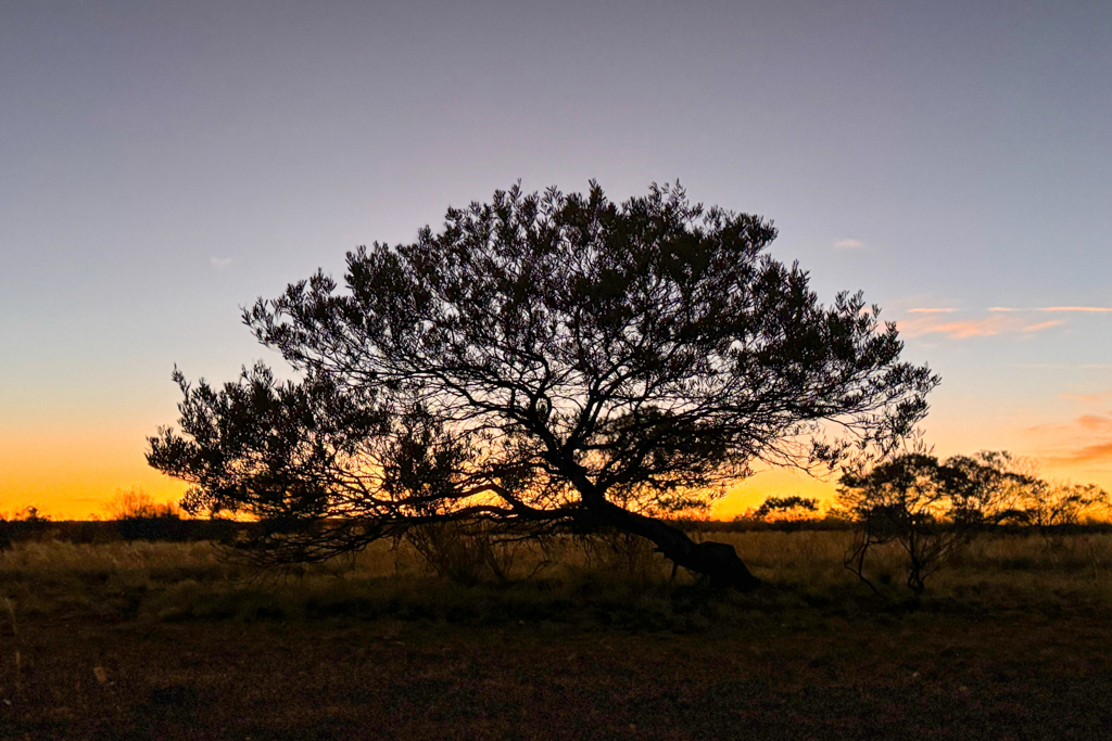 Sonnenuntergang bei den Devils Marbles