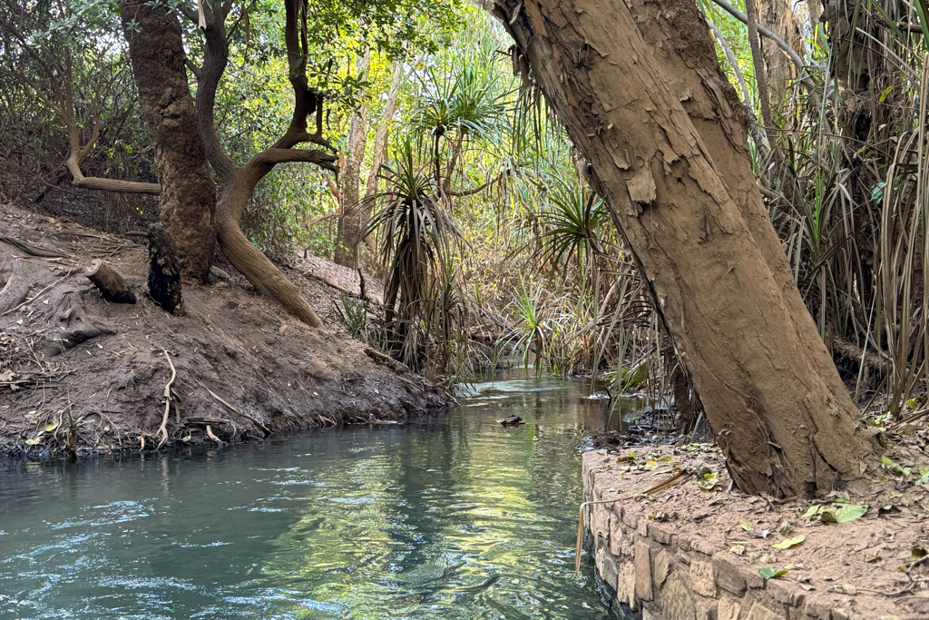 Die Quelle fliesst durch den oberen in den unteren Pool und von dort aus in den Katherine River
