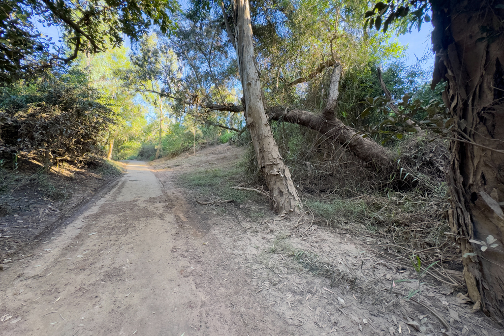 Der Weg hinter dem Campground zu den fast naturbelassenen Hot Springs