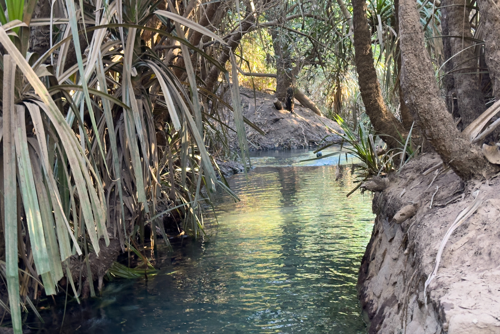 Und von dort aus später in den Katherine River