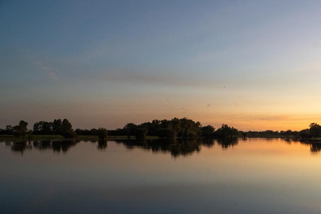 Es ist noch vor Sonnenaufgang, die Yellow Waters Lagune liegt still vor uns. Ein Vogelschwarm fliegt vorbei