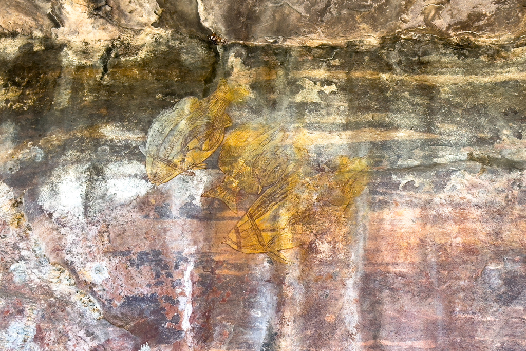 Eine Langhals Schildkröte und zwei Fische sind hier dargestellt
