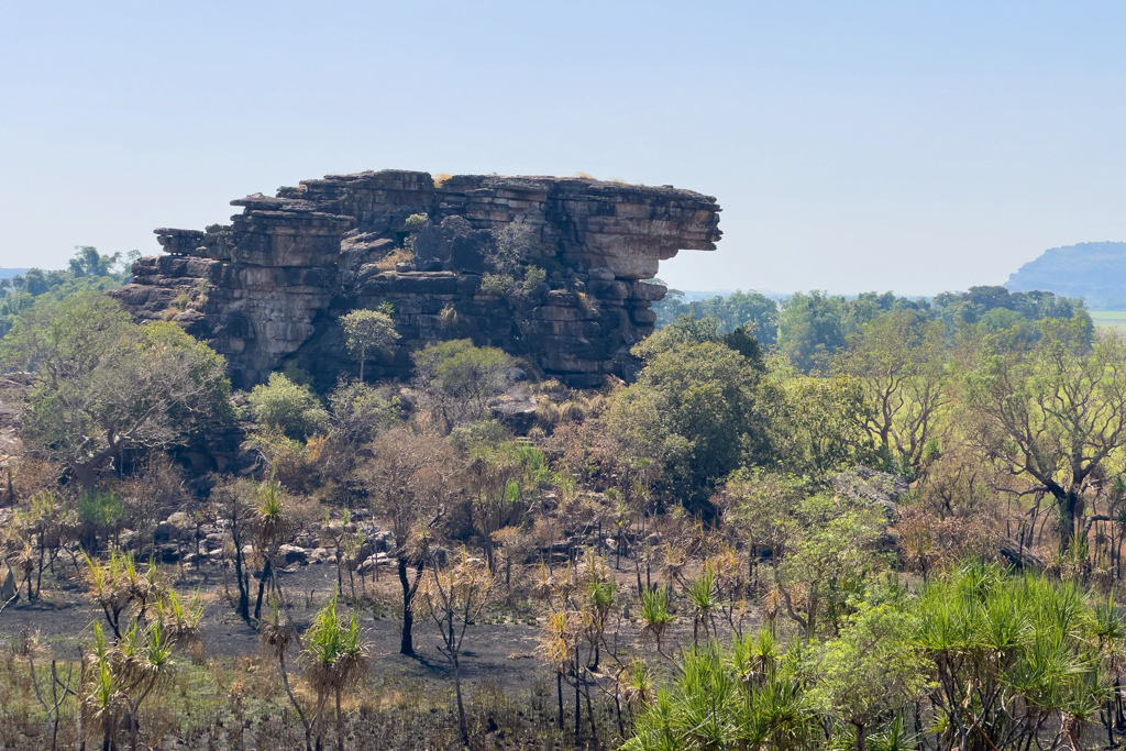 Blick vom Ubirr auf Felsüberreste und die grüne Landschaft dahinter