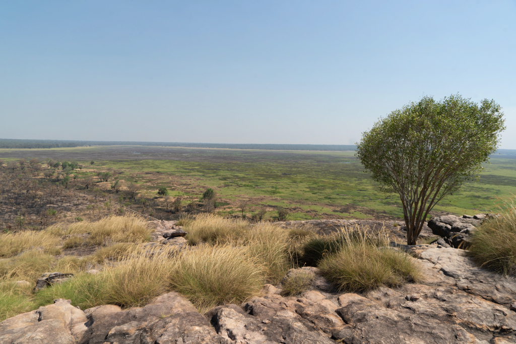 Oben auf dem Ubirr mit Blick unterschiedliche Landschaft