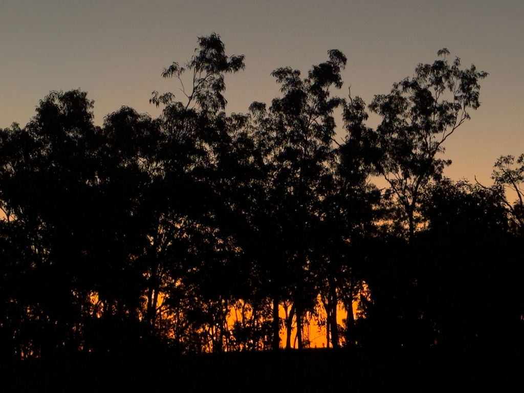 Morgenstimmung bei uns am Campground