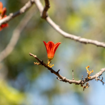 «Wandertag» bei den Wangi Falls