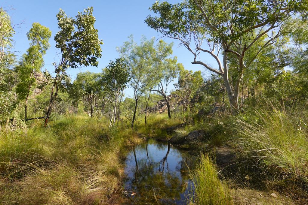 Wasserloch auf der Wanderung zum Upper Pool