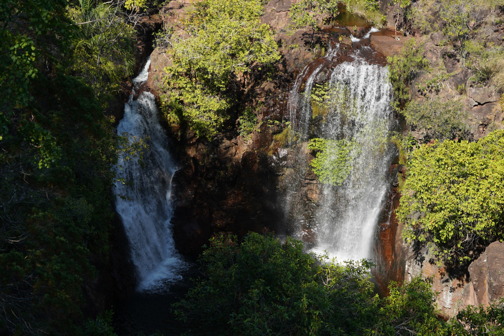 Die Florence Falls im Litchfield N.P. im Morgenlicht