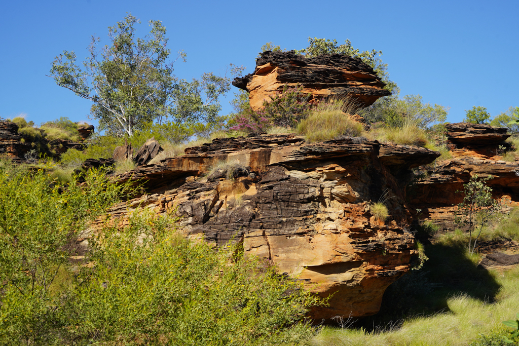Bizarre Felsen und dazwischen viel grüne Natur
