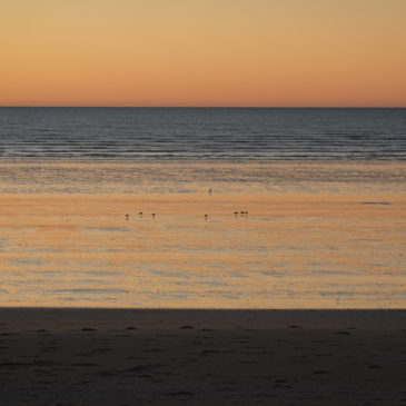 Eighty Mile Beach