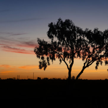 Port Hedland Golf Club
