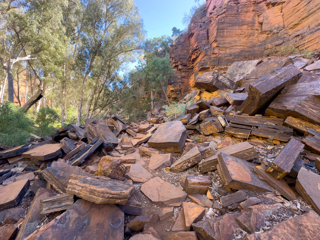 So sieht Schwierigkeitsgrad 5 zum Wandern in Australien aus; wir sind untern in der Dales Gorge unterwegs
