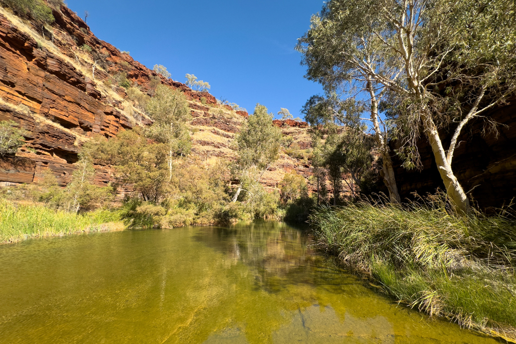 Swim hole am Grund der Dales Gorge