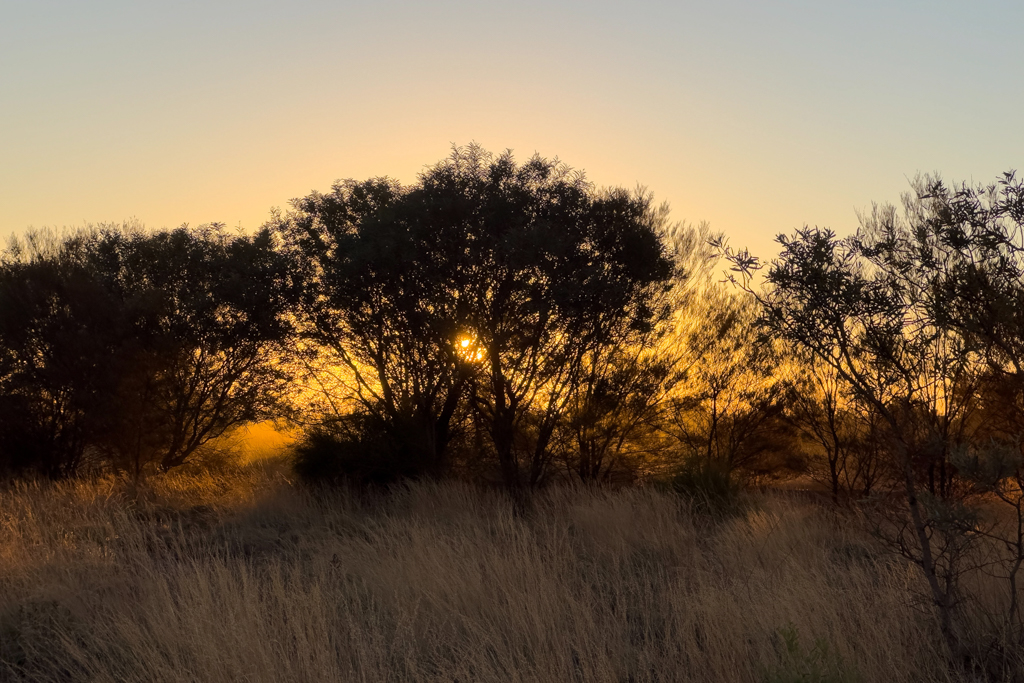Die Sonne verschwindet hinter den Bäumen und taucht den Himmel in ein kräftiges Rot-orange