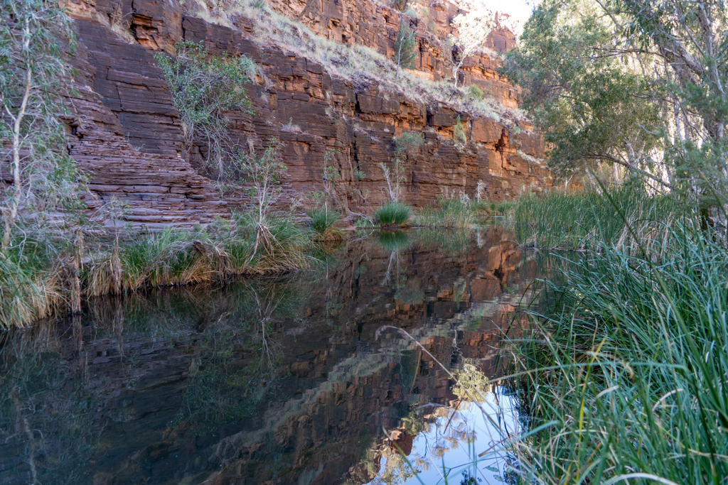 Am Grund der Gorge gibt es immer wieder ruhige Wasserstellen
