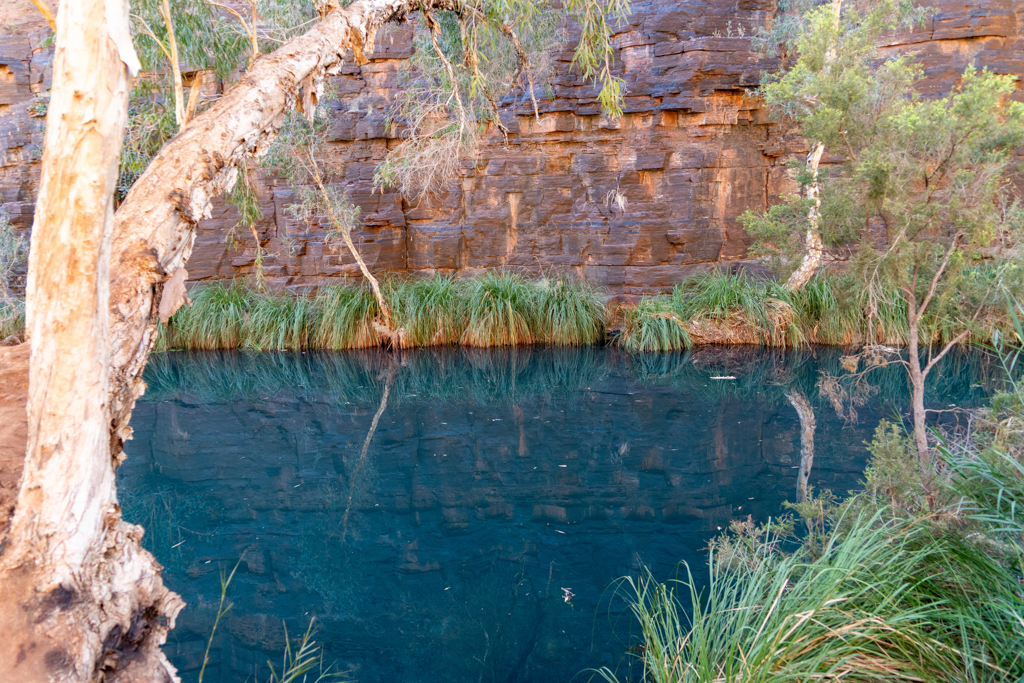 Unten in der Gorge fliesst ein schmaler Bach, der sich immer wieder in kleineren Pools staut