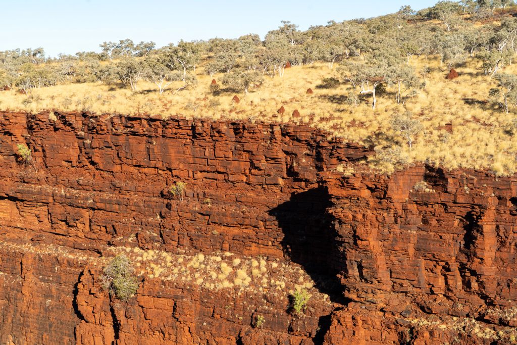 Die kräftig roten Felswände der Gorge und die roten Termitenhügel bieten einen starken Kontrast zum Bewuchs durch Gras und Bäume