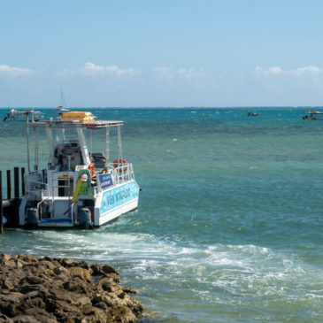 Ningaloo Reef: Schnorcheltour