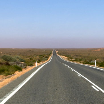 Fahrt nach Carnarvon