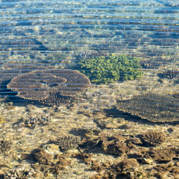Point Quobba: Blow Holes & Riff Aquarium