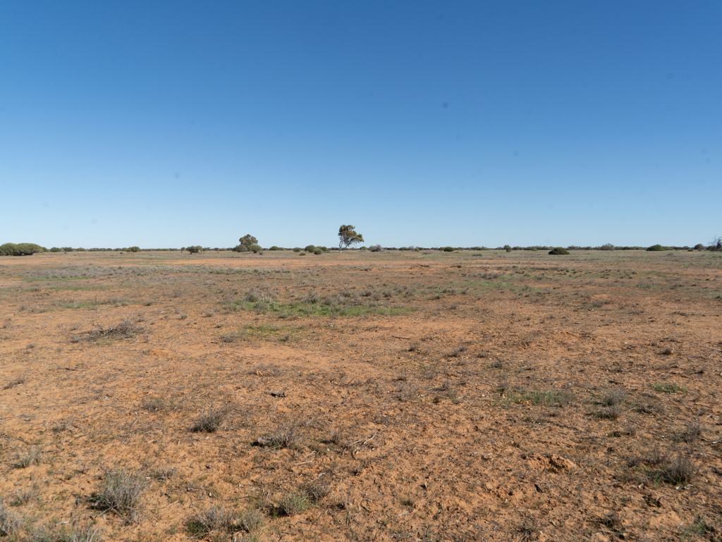 Man könnte meinen im Outback zu sein, so spärlich ist die Landschaft bewachsen. Gerade mal ein Eukalyptus Baum ist hier zu sehen!