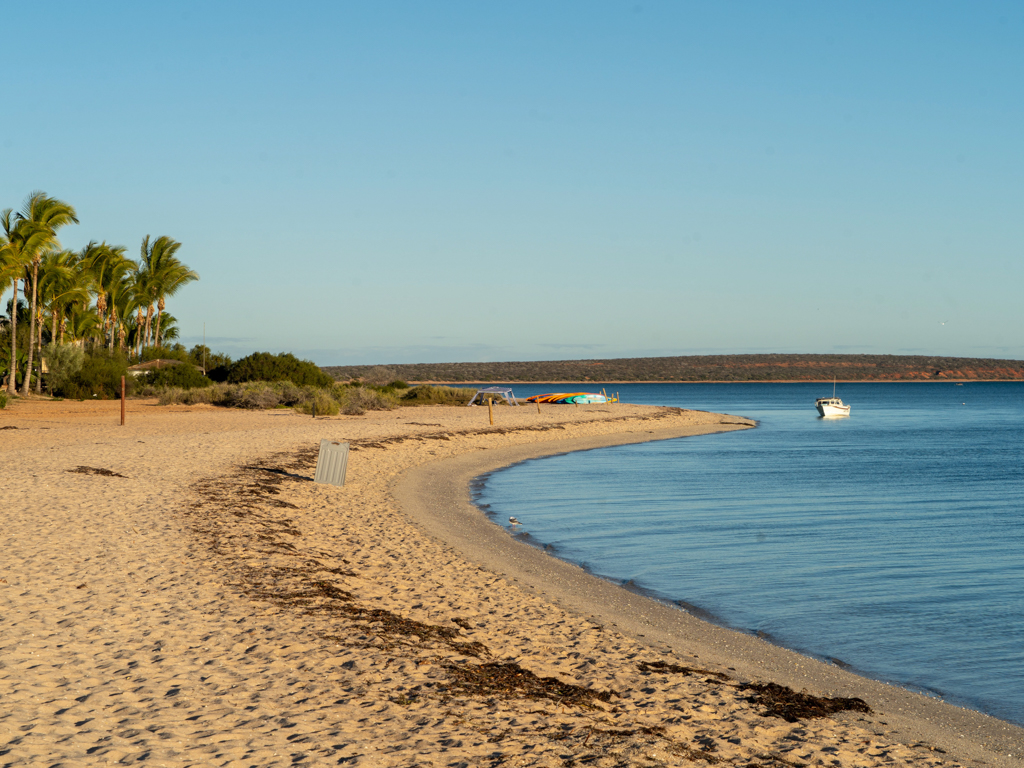 Strand von Monkey Mia in der Morgensonne