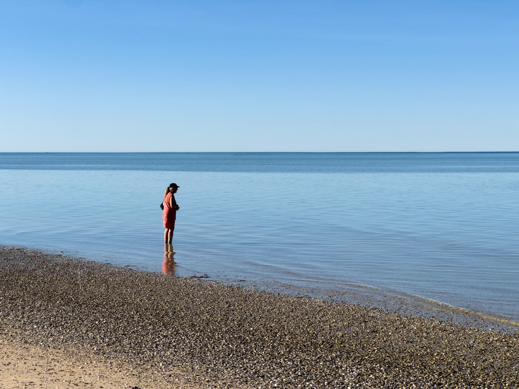 Ma schaut sich im stillen flachen Wasser der Bucht Stachelrochen und Geigenkasten Rochen an