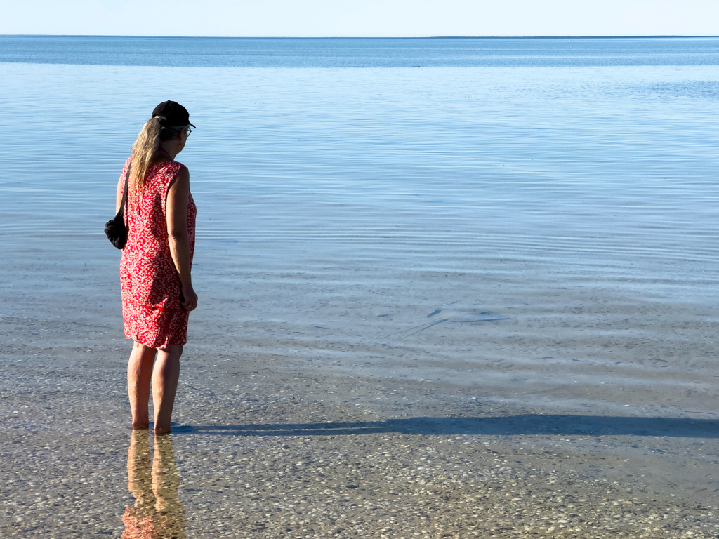 Ma bestaunt im stillen flachen Wasser der Bucht ein paar Stachelrochen