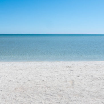 Shell Beach, Hamelin Pool und Galena Bridge