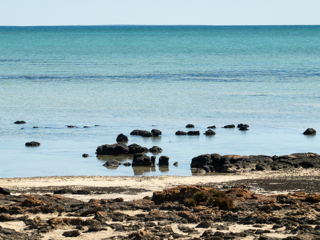 So können die einzigartigen Stromatolithen nur vom Strand aus bewundert werden. Und sehen doch eher ganz gewöhnlich aus
