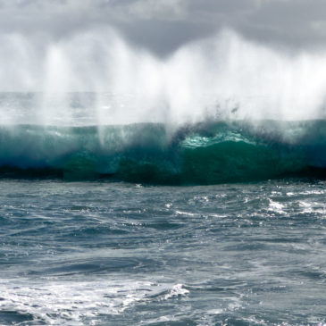 Kalbarri Coast N.P.: Red Bluff