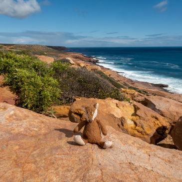Kalbarri Coast N.P.: Küstenwanderung