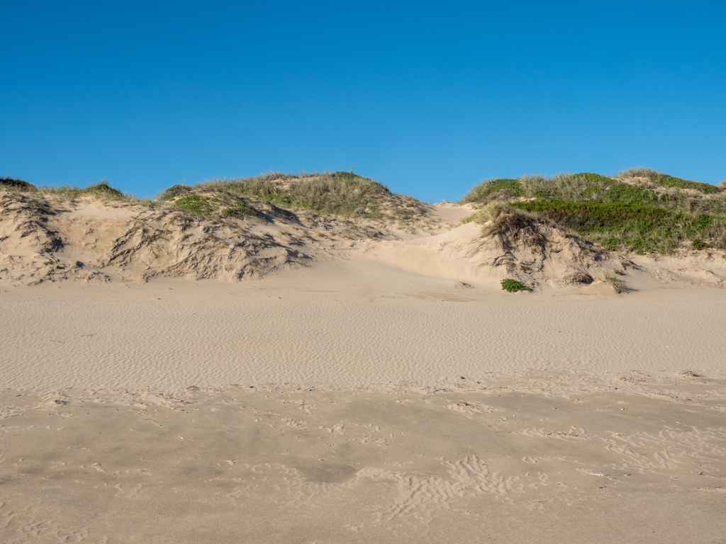 Naturbelassene Dünen an der Beach