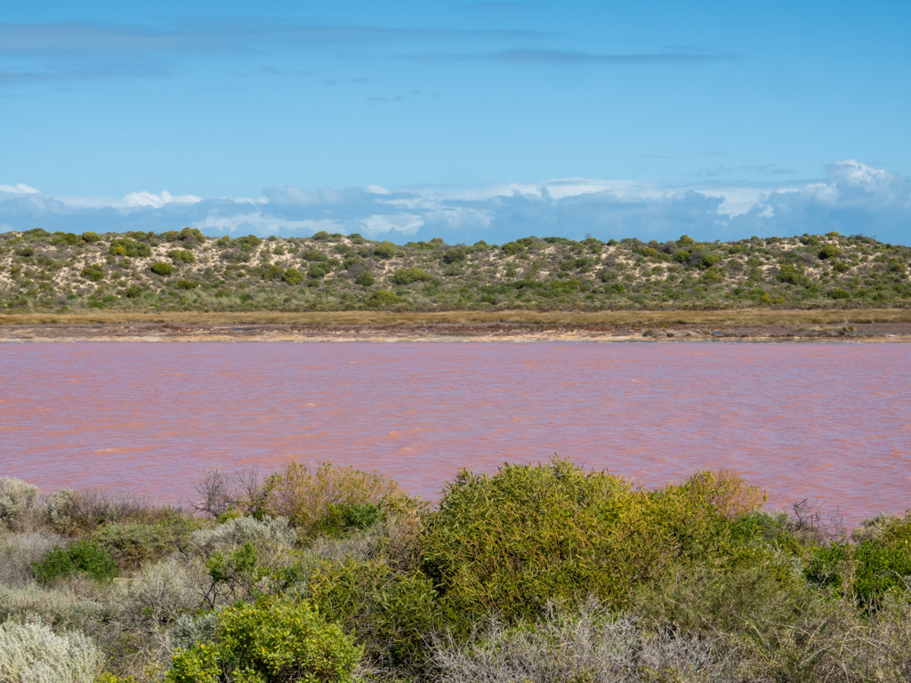 Breite grünen Dünen um die Bucht der Pink Lagoon