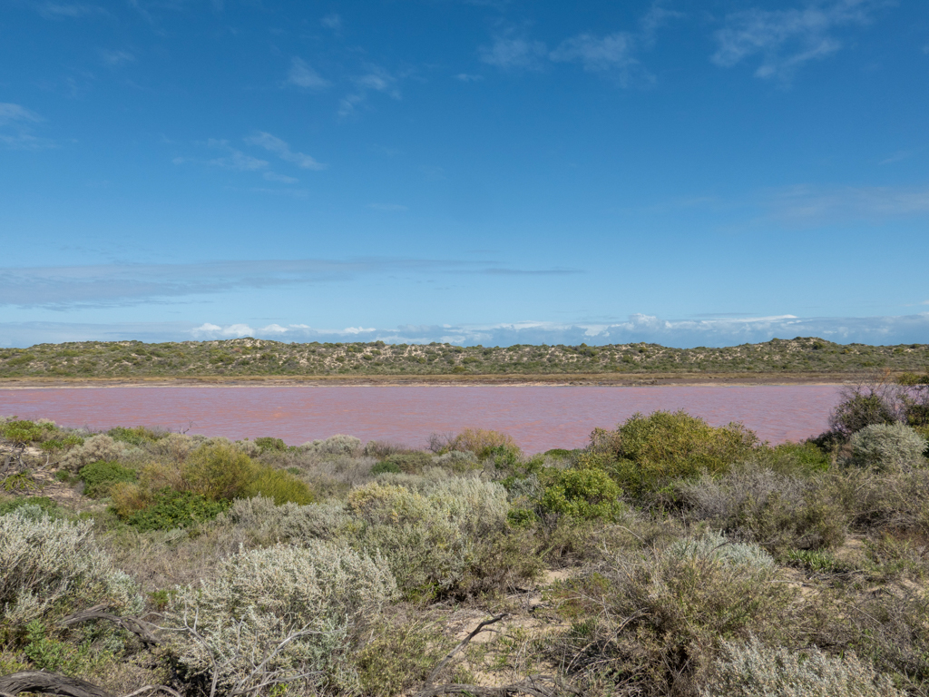 Breite grünen Dünen um die Bucht der Pink Lagoon