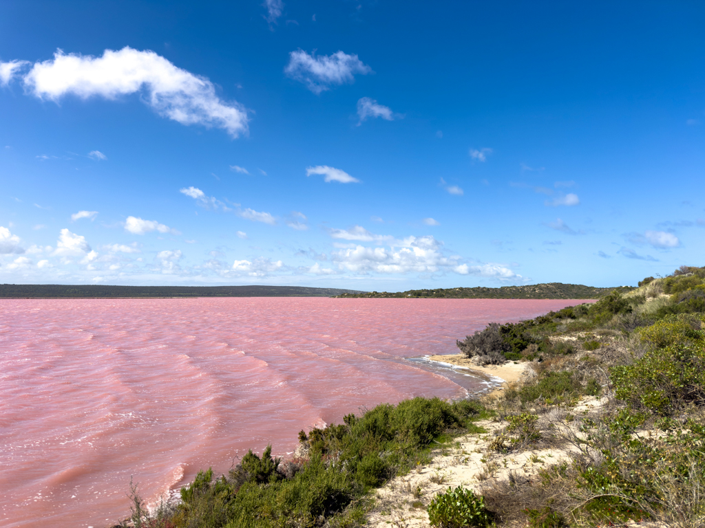 Farbenpracht: Grüne Dünen, Pink Lagoon mit blauem Himmel