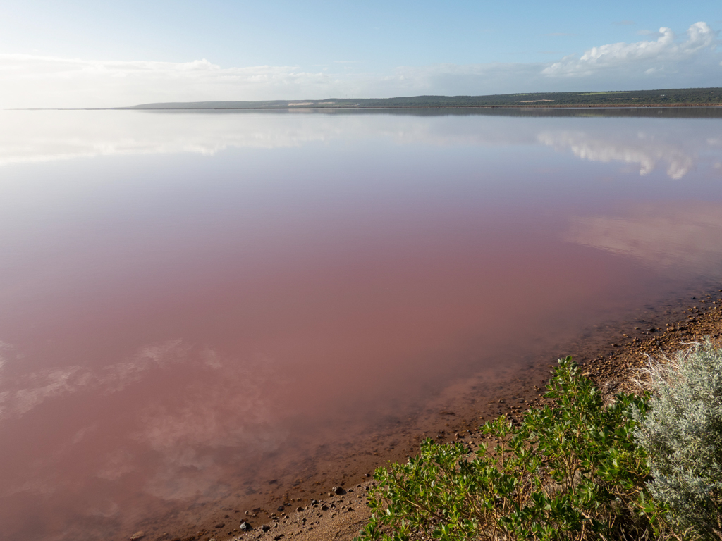 Spiegelglatt präsentiert sich uns heute die Pink Lagoon
