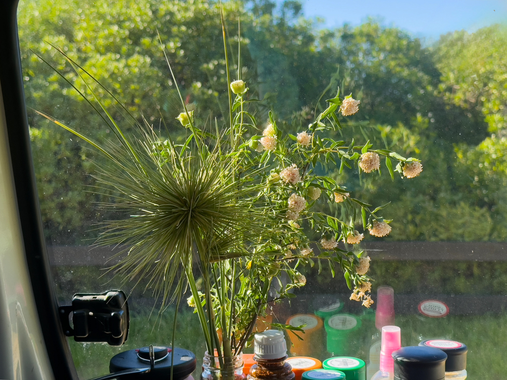 In Eneli unser kleiner Garten Eden