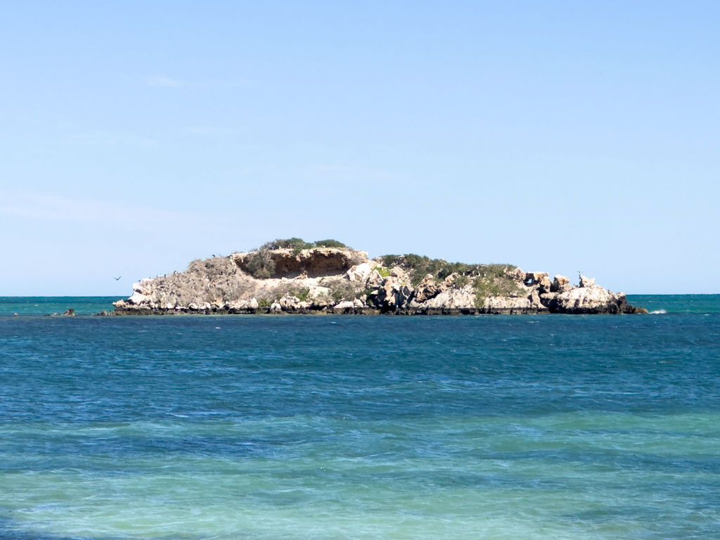 Ein "Vogelfelsen" im Meer