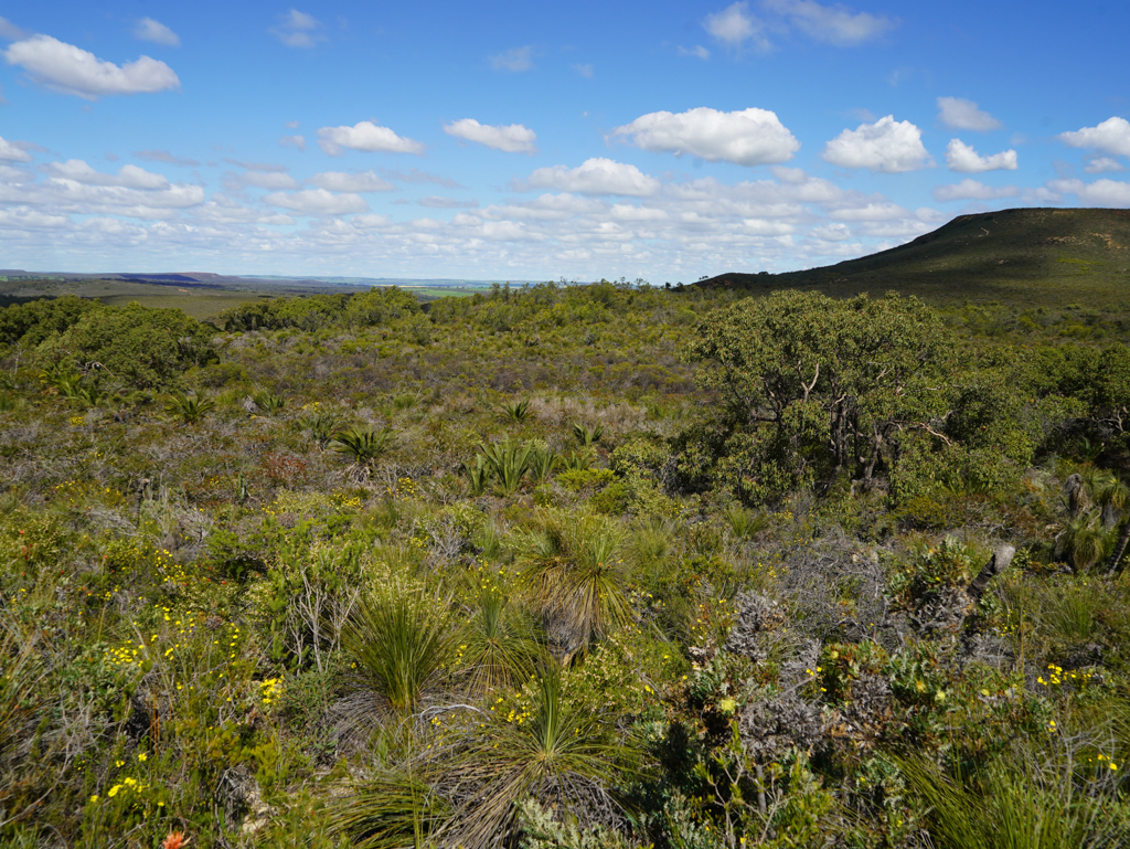 Lesueur Nationalpark